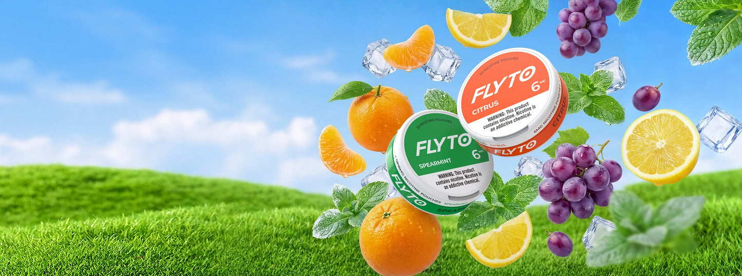 What’s Inside Tobacco-Free Nicotine Pouches